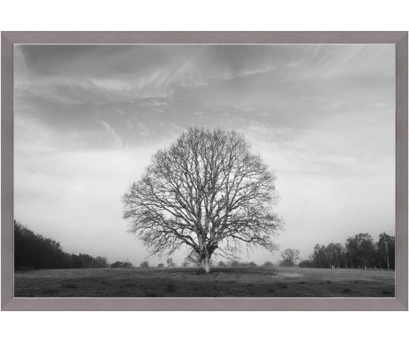 Strom života na černobílé fotografii č. 10 je vyrobený s ozdobným dřevěným rámem.