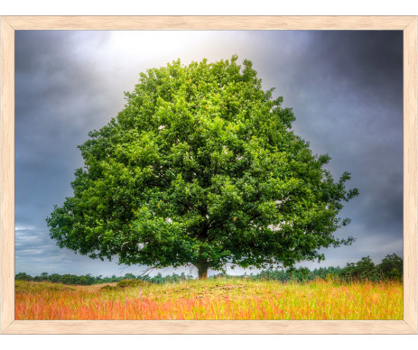 Na fotce č. 13 je obraz stromu života, který Vám můžeme vyrobit v pěti rozměrech. Obraz je zhotoven včetně ozdobného dřevěného rámu.