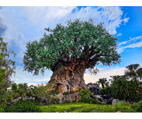 Na obrázku je plastika stromu života, která se nachází v parku Discovary Island. Obraz je vyroben bez ozdobného rámu