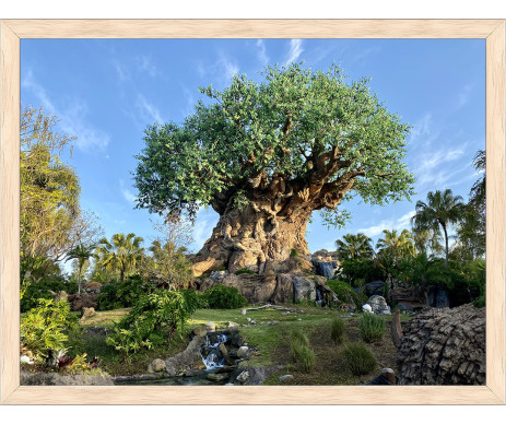 Na fotce je dokonalá plastika stromu života od Walt Disney. Obraz je již včetně ozdobného dřevěného rámu.