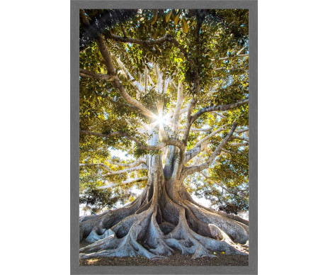 Strom života na fotografii č. 5, který je vyrobený s ozdobným dřevěným rámem.