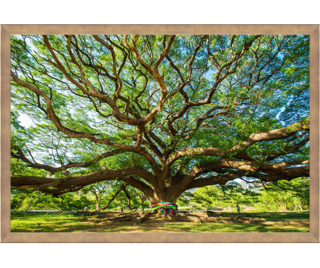 Strom života na fotografii č. 6, který je vyroben s ozdobným dřevěným rámem