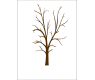 Ukázka obrazu svatebního stromu v designu č. 6 v hnědé barvě s ozdobným dřevěným rámem